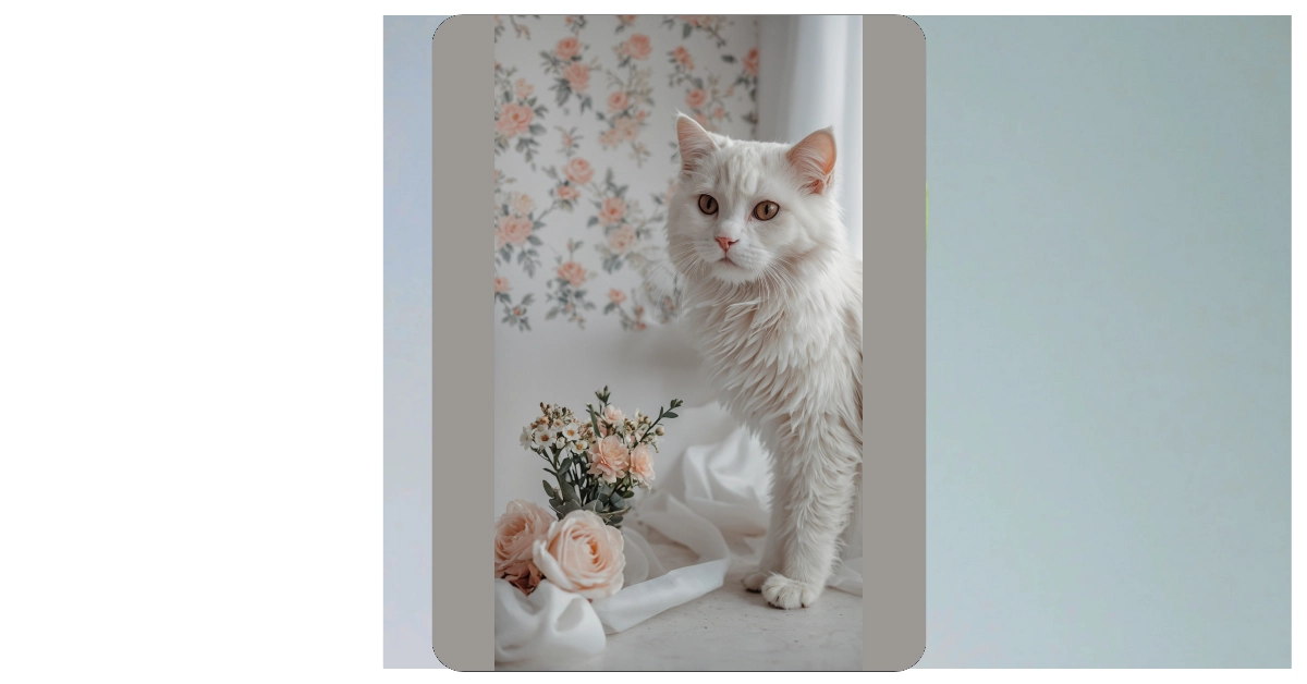 Dreamy Aesthetic Pastel Backgrounds: 08 Cute Wallpapers to Brighten Your Device