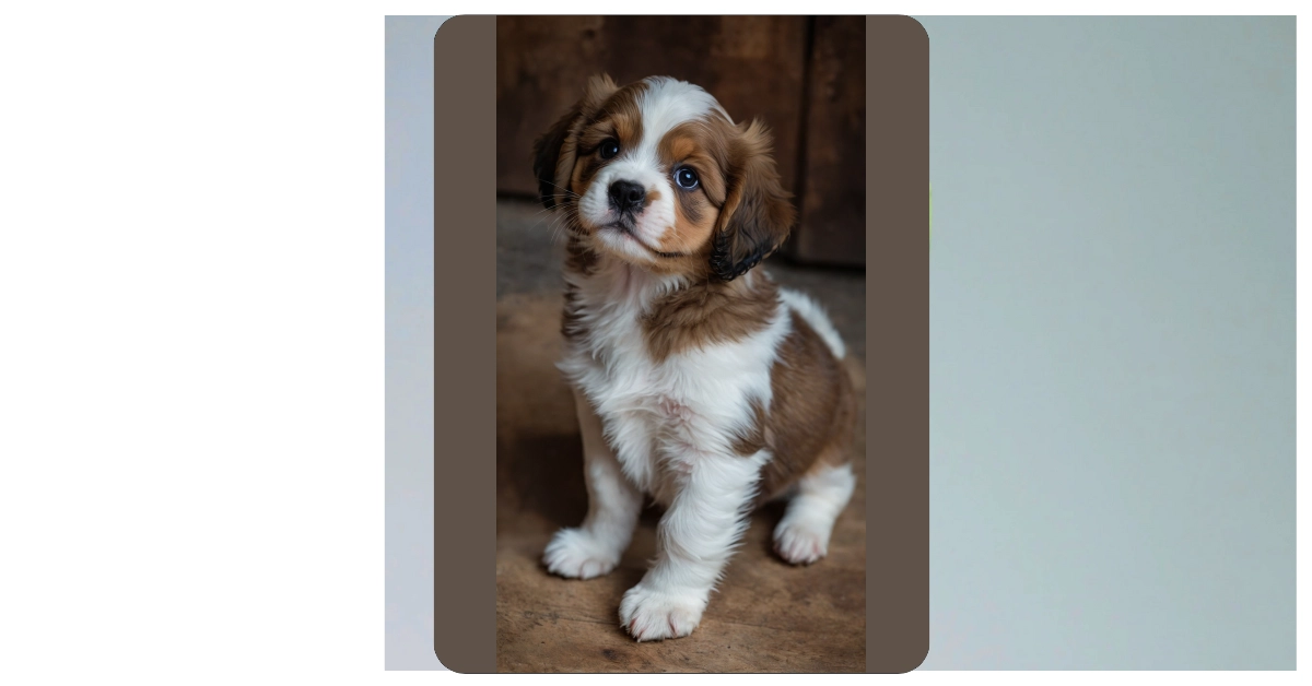 12 Adorable Puppy Wallpaper Ideas to Brighten Your Devices