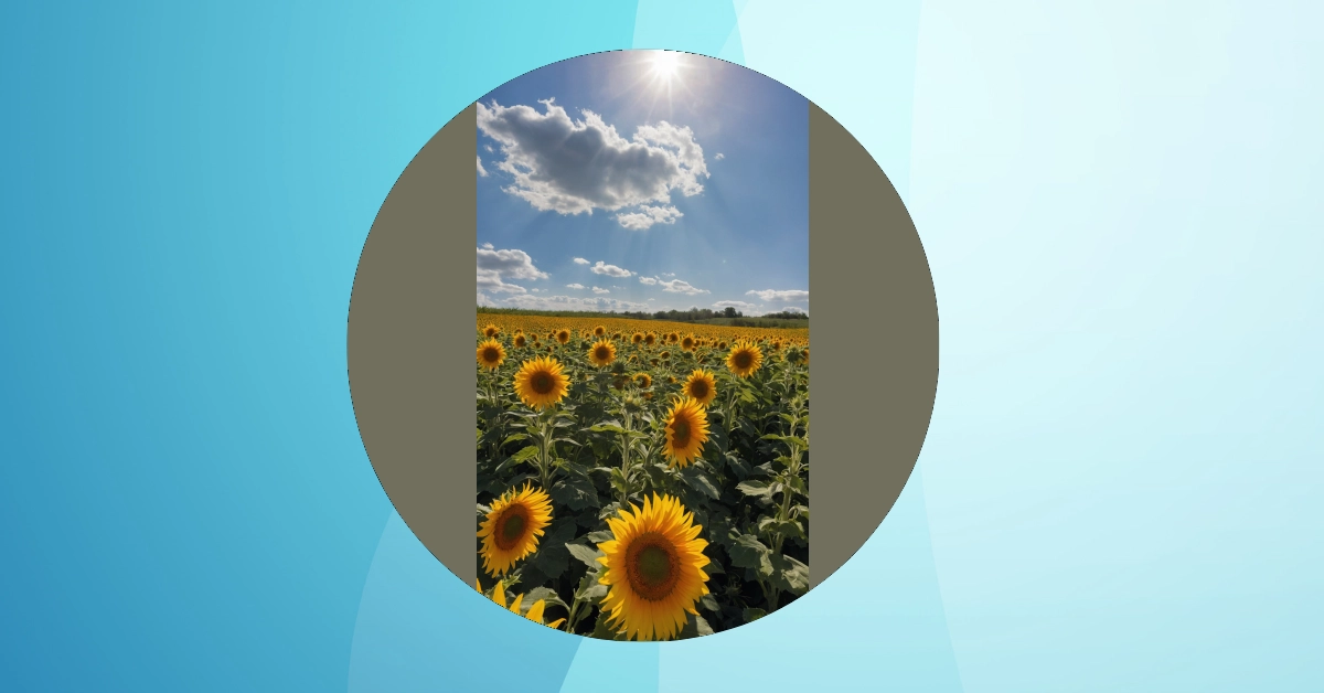 Sun-loving Vibes: 06 Cheerful Wallpaper Ideas for You!