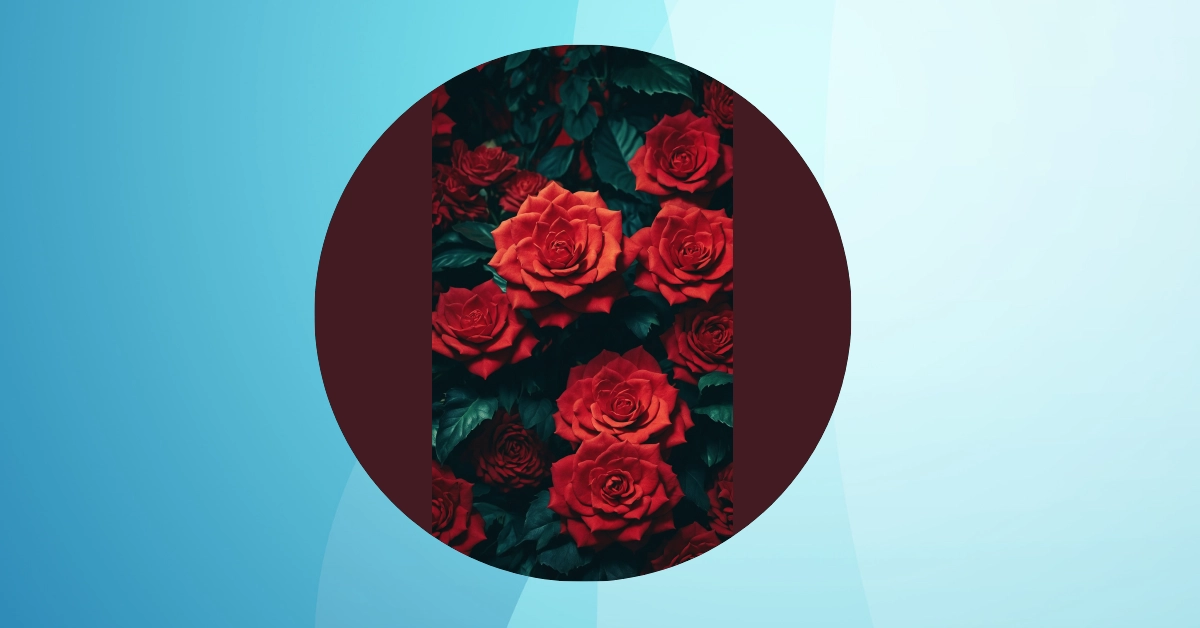 Brighten Your Space: 7 Cute Red Wallpaper Inspirations