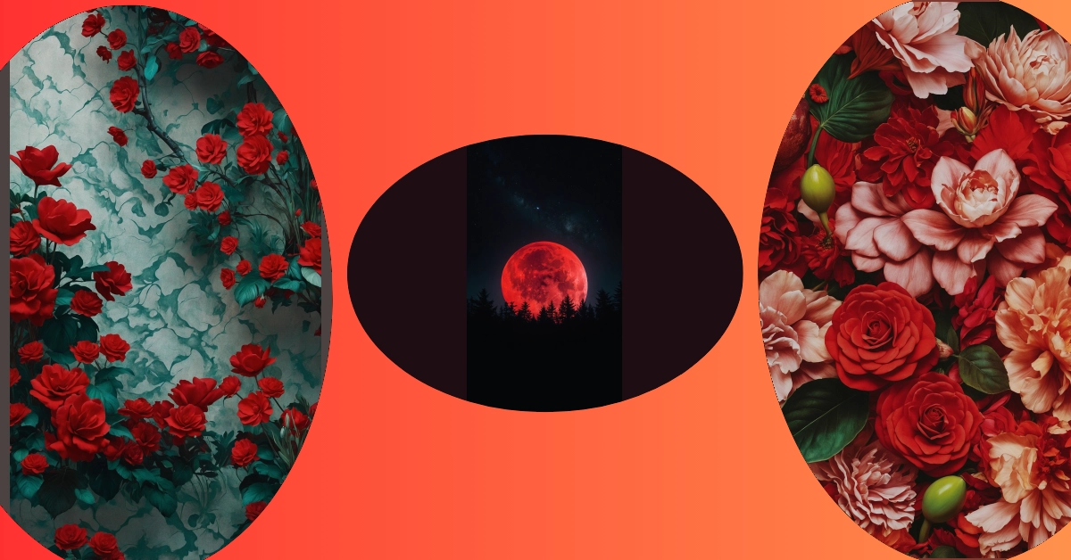 7 Aesthetic Red Wallpaper Ideas for a Modern Space