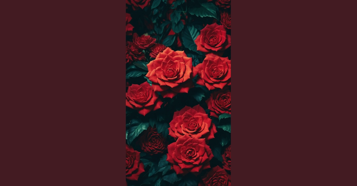 7 Bold and Beautiful Red Wallpaper Concepts